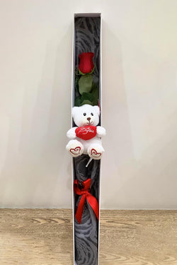 Perfect Colombian Rose Box With Bear