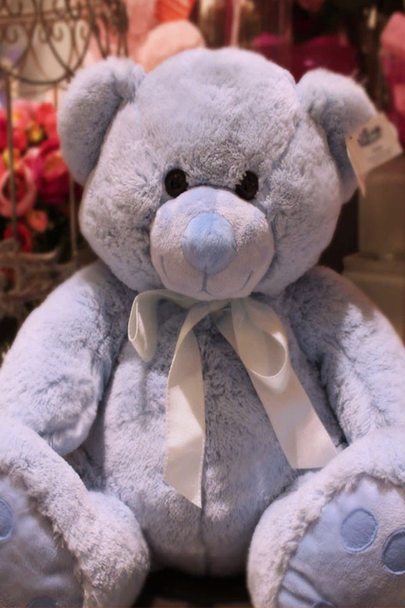 Cuddly Teddy Bear - Blue