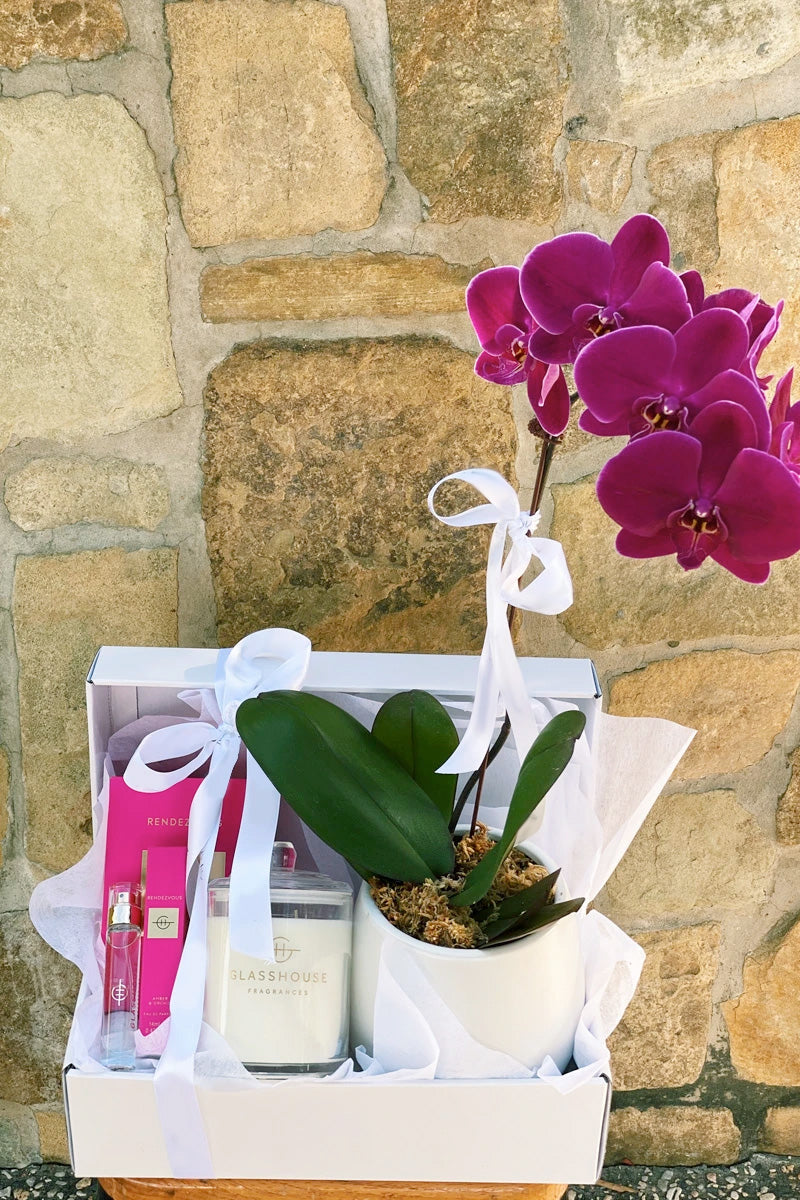 Phalaenopsis Orchid Plant, Glasshouse Candle and Perfume