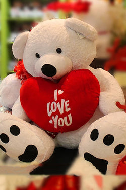 How Much I Love You Teddy Bear