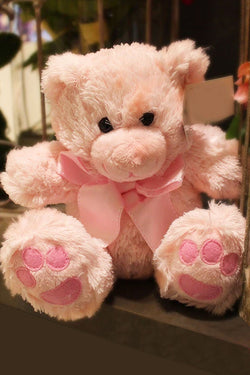 Cuddly Teddy Bear - Pink